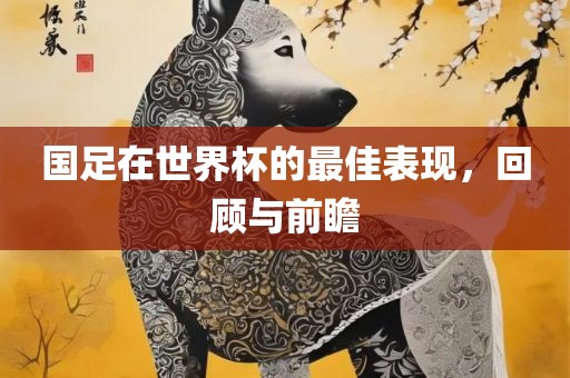 国足在世界杯的最佳表现，回顾与前瞻
