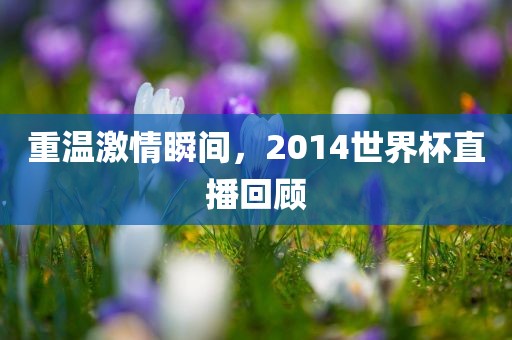 重温激情瞬间，2014世界杯直播回顾