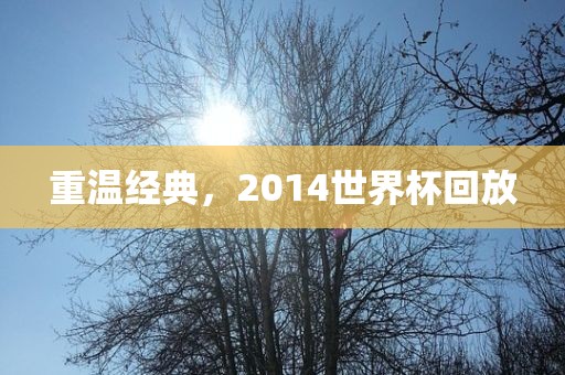 重温经典，2014世界杯回放