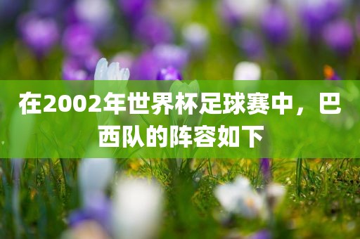 在2002年世界杯足球赛中，巴西队的阵容如下