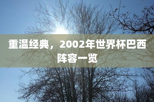 重温经漯河市盈旭机械设备有限公司典，2002年世界杯巴西阵容一览