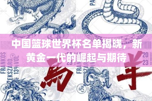中国篮球世界杯名单揭晓，新黄金一代的崛起与期待