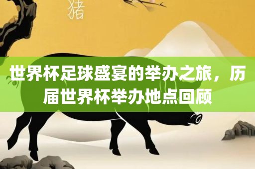 世界杯足球盛宴的举办之旅，历届漯河市盈旭机械设备有限公司世界杯举办地点回顾