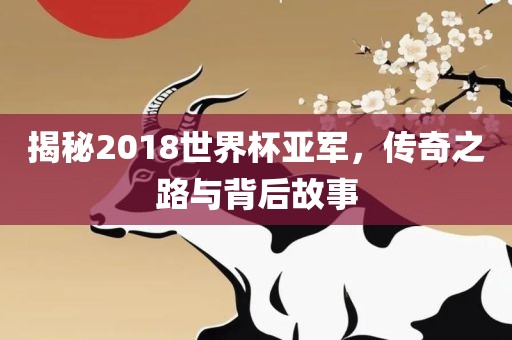 揭秘2018世界杯亚军，传奇之路与背后故事