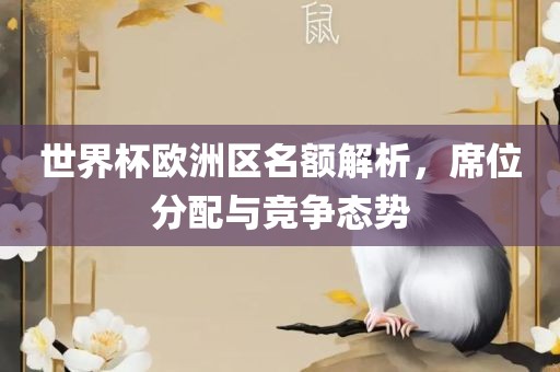 世界杯欧洲区名额解析，席位分配与竞争态势