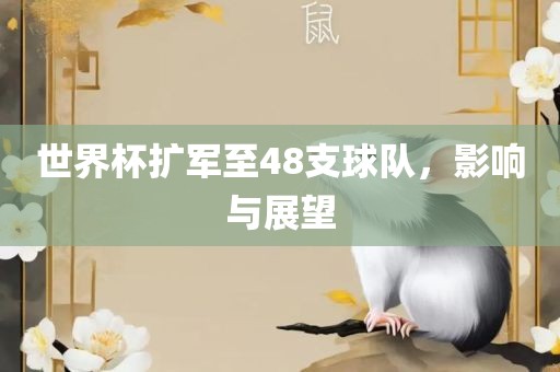 世界杯扩军至48支球队，影响与展望漯河市盈旭机械设备有限公司