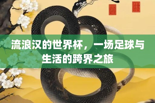 流浪汉的世界杯，一场足漯河市盈旭机械设备有限公司球与生活的跨界之旅