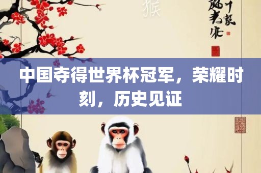 中国夺得世界杯冠军，荣耀时刻，历史见证