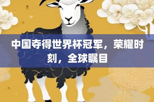 中国夺得世界杯冠军，荣耀时刻，全球瞩目