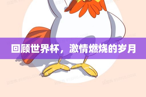 回顾世界杯，激情燃烧的岁月