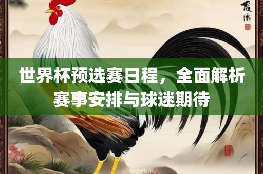 世界杯预选赛日程，全面解析赛事安排与球迷期待