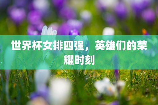 世界杯女排四强，英雄们的荣耀时刻