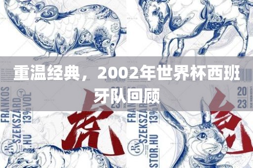 重温经典，2002年世界杯西班牙队回顾漯河市盈旭机械设备有限公司