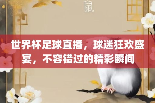 世界杯足球直播，球迷狂欢盛宴，不容错过的精彩瞬间
