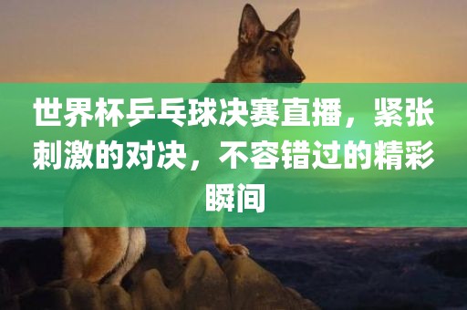 世界杯乒乓球决赛直播，紧张刺激的对决，不容错过的精彩瞬间