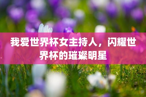 我爱世界杯女主持人，闪耀世界杯的璀璨明星