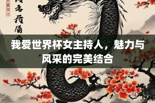我爱世界杯女主持人，魅力与风采的完美结合
