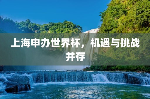 上海申办世界杯，机遇与挑战并存