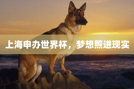上海申办世界杯，梦想照进现实