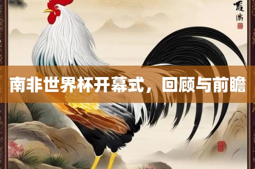 南非世界杯开幕式，回顾与前瞻
