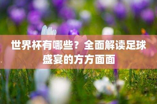 世界杯有哪些？全面解读足球盛宴的方方面面