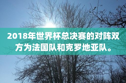 2018年世界杯总决赛的对阵双方为法国队和克罗地亚队。