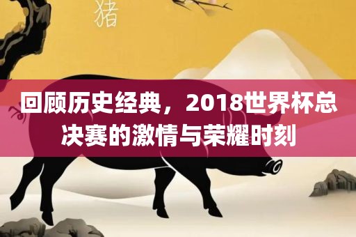 回顾历史经典，2018世界杯总决赛的激情与荣耀时刻