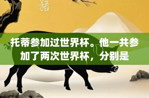 托蒂参加过世界杯。他一共参加了两次世界杯，分别是