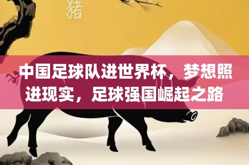 中国足球队进世界杯，梦想照进现实，足球强国崛起之路