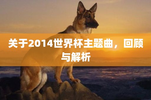 关于2014世界杯主题曲，回顾与解析