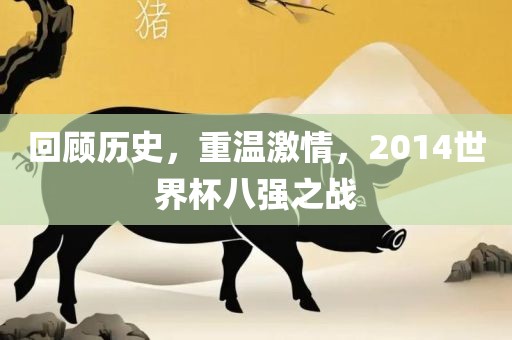 回顾历史，重温激情，2014世界杯八强之战