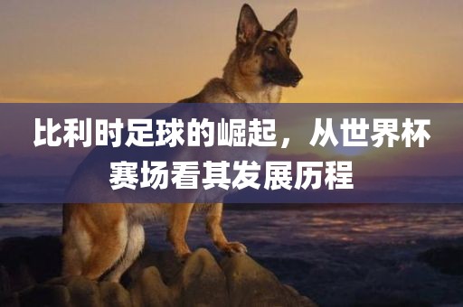 比利时足球的崛起，从世界杯赛场看其发展历程