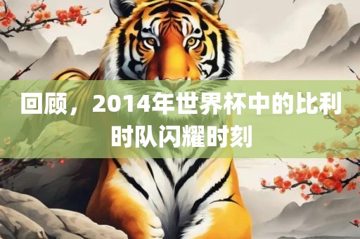 回顾，2014年世界杯中的比利时队闪耀时刻漯河市盈旭机械设备有限公司