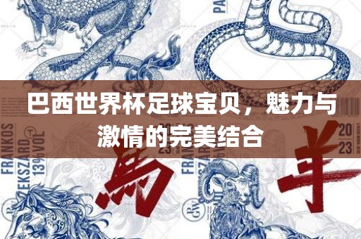 巴西世界杯足球宝贝，魅力与激情的完美结合