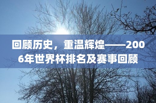 回顾历史，重温辉煌——2006年世界杯排名及赛事回顾