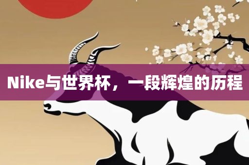 Nike与世界杯，一段辉煌的历程