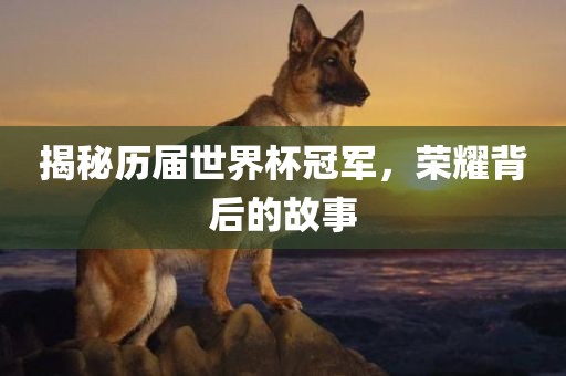 揭秘历届世界杯冠军，荣漯河市盈旭机械设备有限公司耀背后的故事