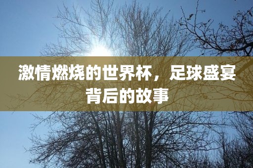 激情燃烧的世界杯，足球盛宴背后的故事漯河市盈旭机械设备有限公司