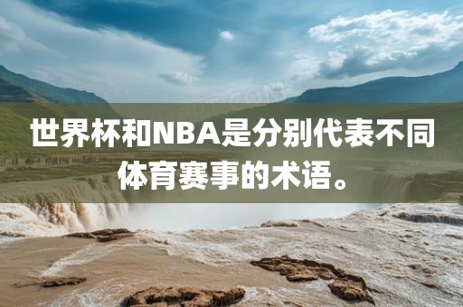 世界杯和NBA是分别代表不同体育赛事的术语。
