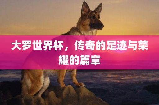 大罗世界杯，传奇的足迹与荣耀的篇章