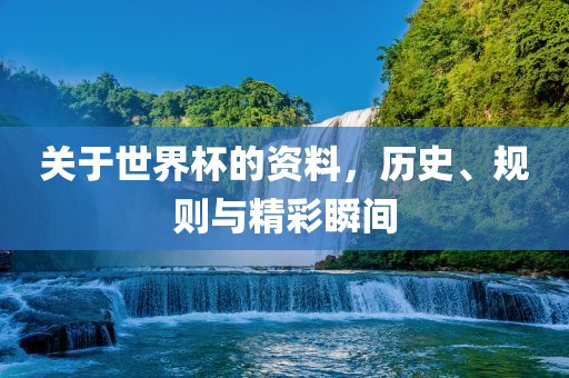 关于世界杯的资料，历史、规漯河市盈旭机械设备有限公司则与精彩瞬间