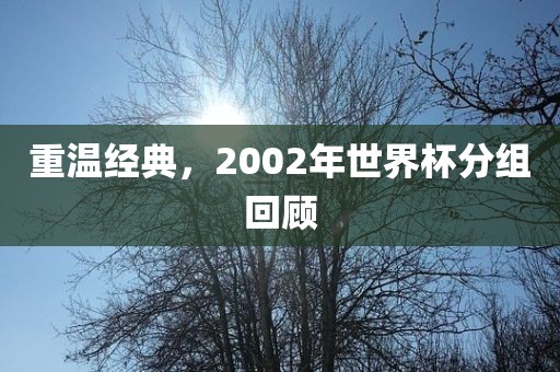 重温经典，2002年世界杯分组回顾