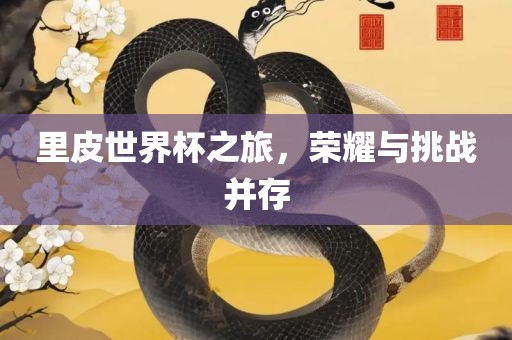 里皮世界杯之旅，荣耀与挑战并存