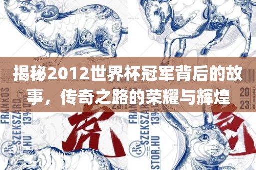 揭秘2012世界杯冠军背后的故事，传奇之路的荣耀与辉煌漯河市盈旭机械设备有限公司