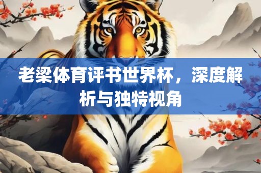 老梁体育评书世界杯，深度解析与独特视角