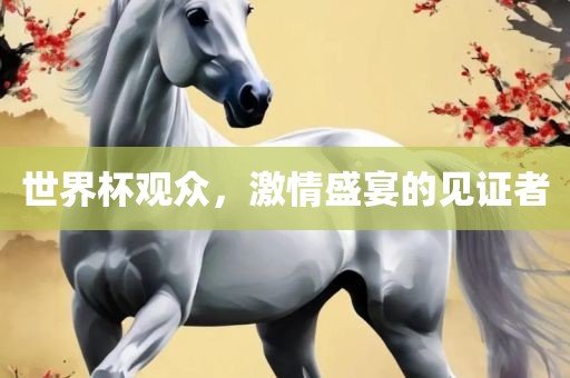 漯河市盈旭机械设备有限公司世界杯观众，激情盛宴的见证者