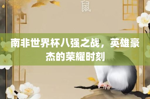 南非世界杯八强之战，英雄豪杰的荣耀时刻