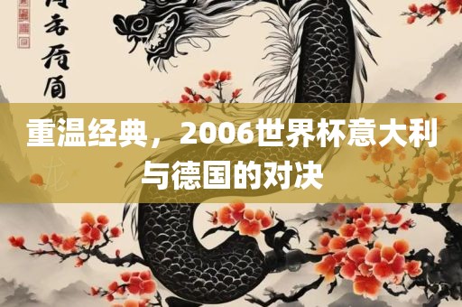 重温经典，2006世界杯意大利与德国的对决漯河市盈旭机械设备有限公司