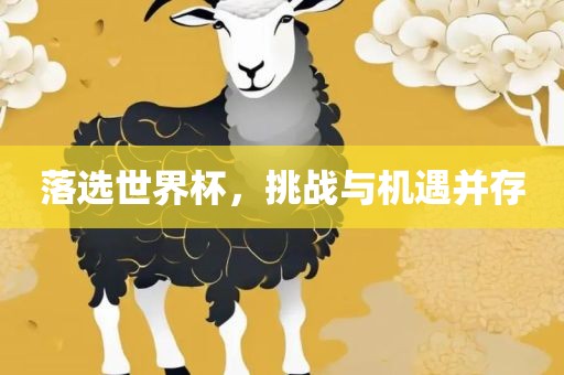 落选世界杯，挑战与机遇并存漯河市盈旭机械设备有限公司