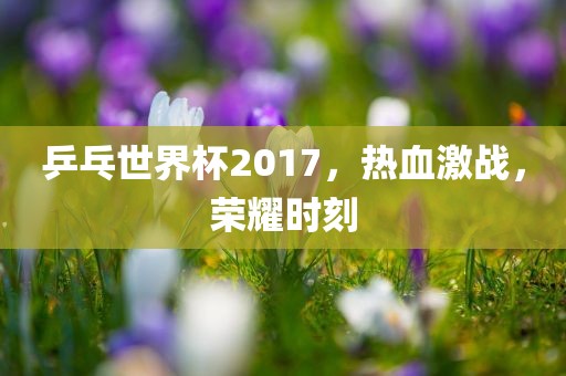 乒乓世界杯2017，热血激战，荣耀时刻漯河市盈旭机械设备有限公司